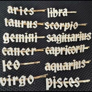 Zodiac Hair Pins
